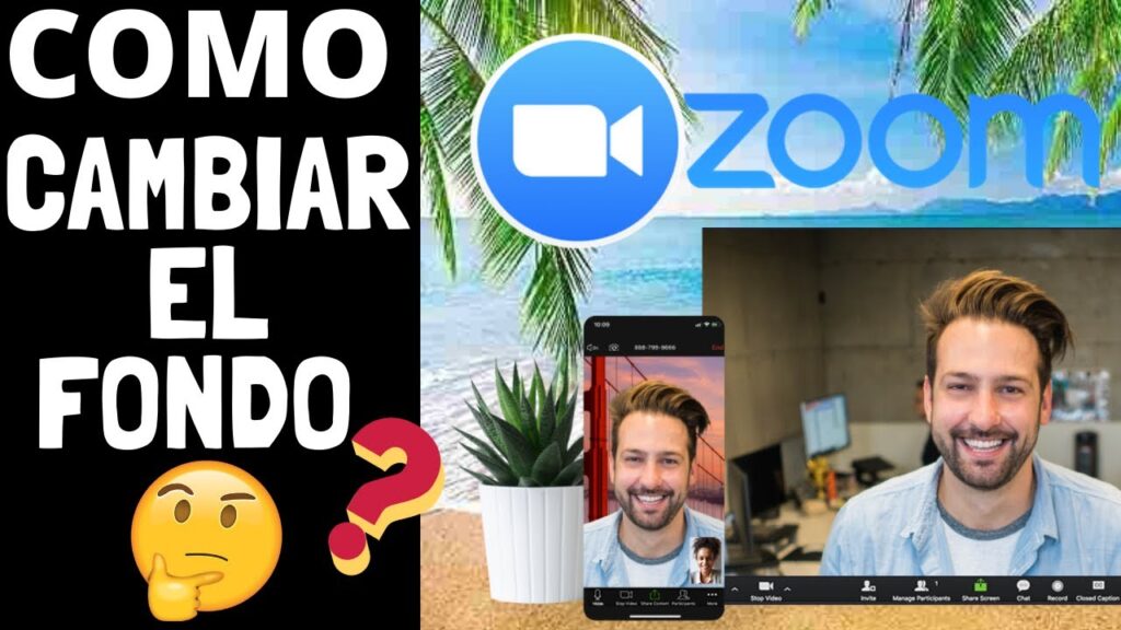 como cambiar zoom de pantalla