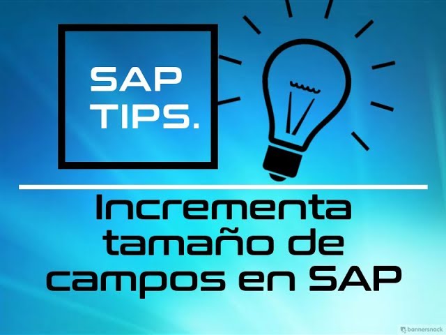 como hacer más grande la pantalla de sap