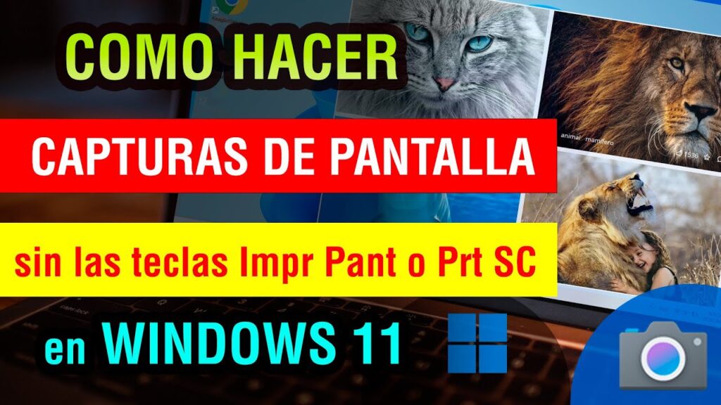 como tomar captura de pantalla en laptop sin impr pant